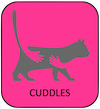 Cattery that offers cuddles to your cat on a regular basis 